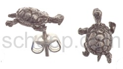 Ear studs turtle